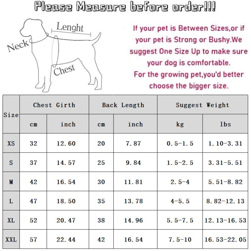 Pet Product - Premium Pet Accessory