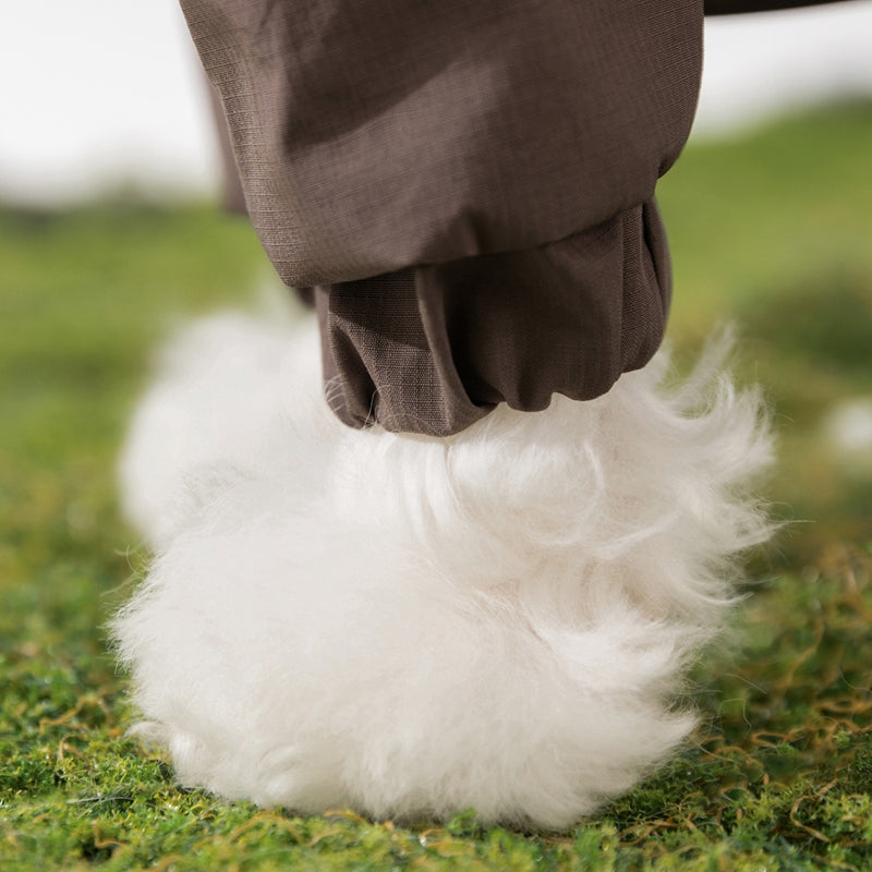Pet Product - Premium Pet Accessory