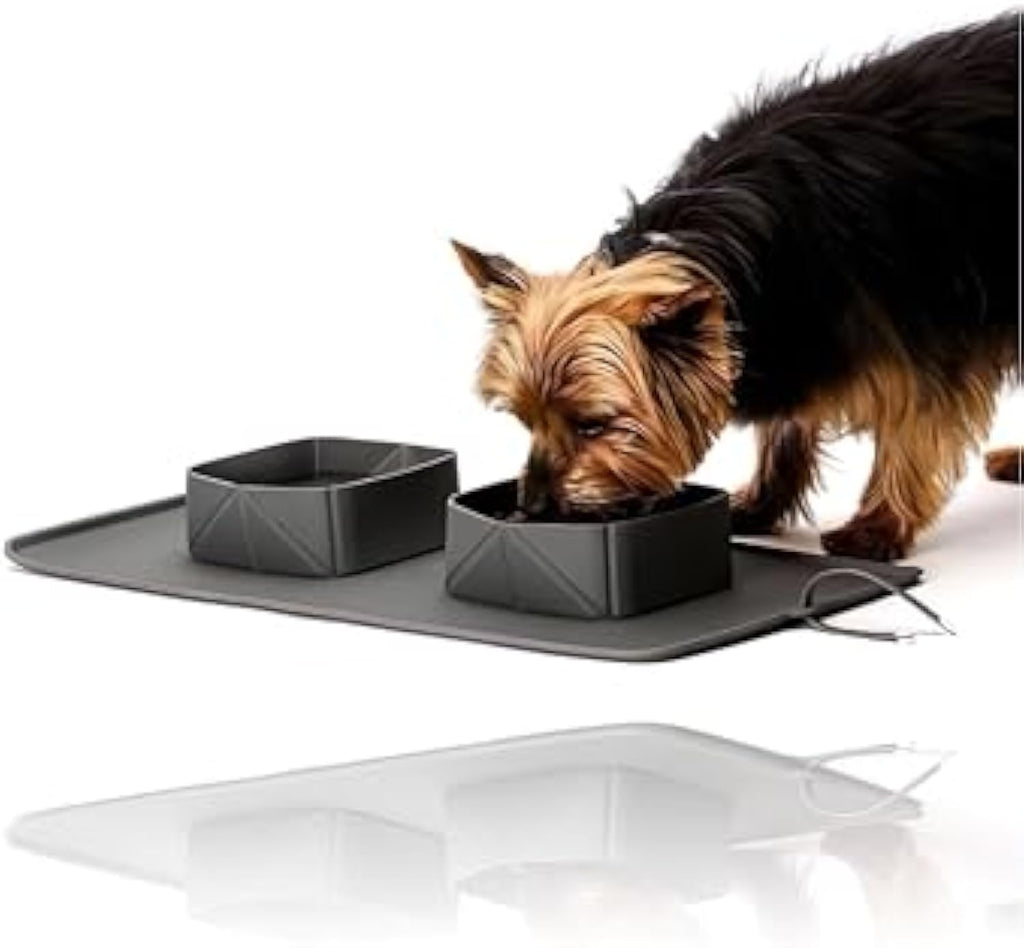 Generic Portable Pet Feeder Silicone Bowls For Dog And Cat Travel Collapsible Dish For Food And Water - Majestic Pet Kingdom