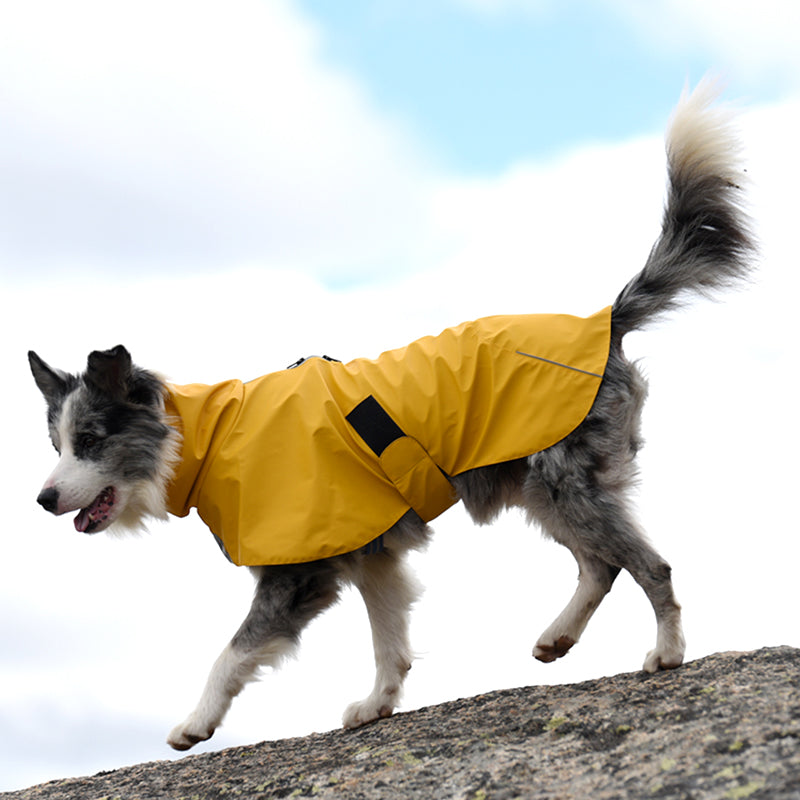 Pet Shell Jacket Dog Waterproof Windproof Raincoat - Majestic Pet Kingdom