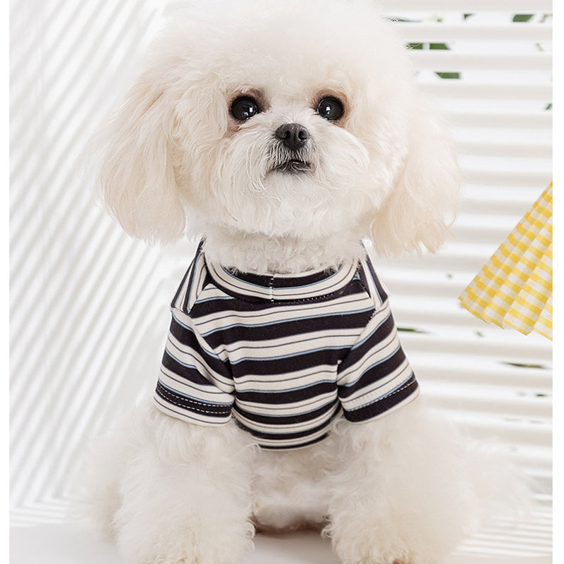 Pet Product - Premium Pet Accessory
