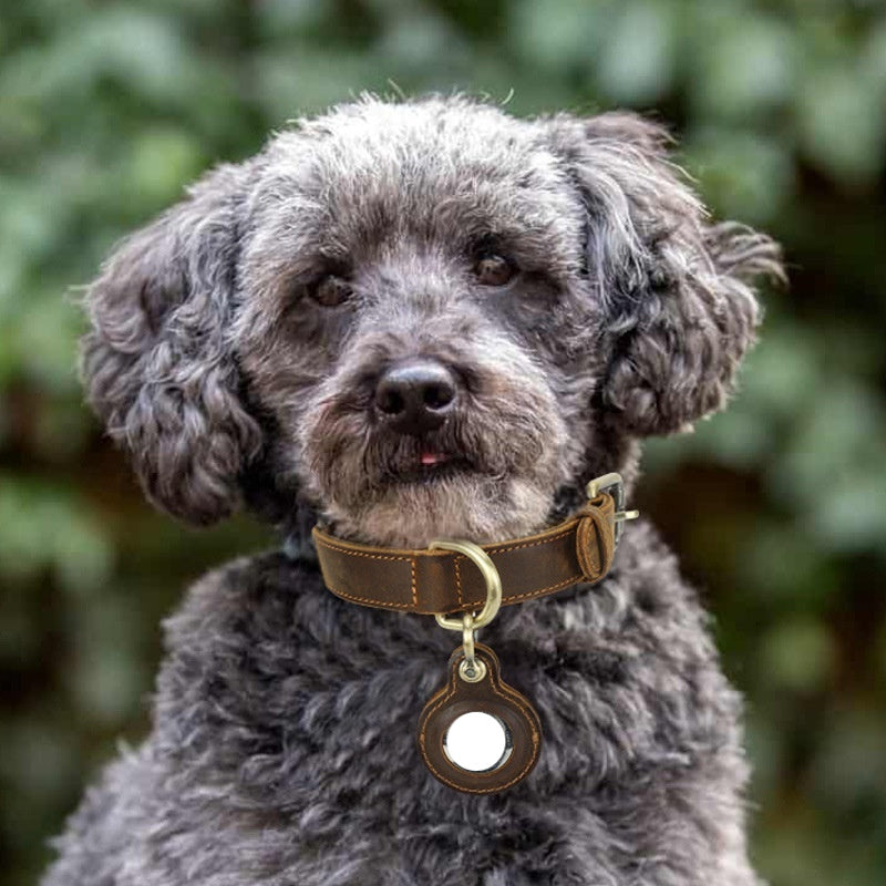Luxury Pet Essentials - Purrfect Pet Kingdom™