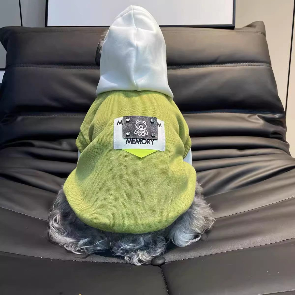 Pet Product - Premium Pet Accessory