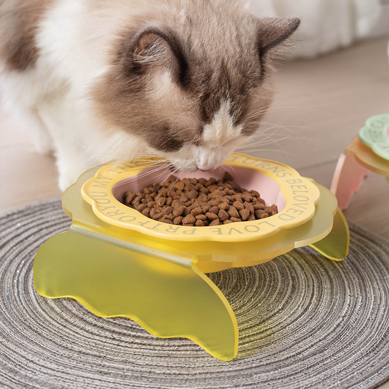 Neck Anti-tumble Acrylic Lace Ceramic Cat Bowl - Majestic Pet Kingdom