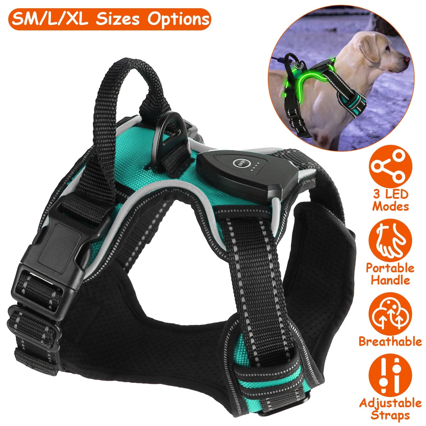 GBruno Light Up Dog Harness | Purrfect Pet Kingdom