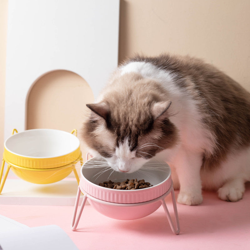 Ceramic Pet Bowl High Foot Neck Protection Snacks Anti-black Chin Oblique Mouth - Majestic Pet Kingdom