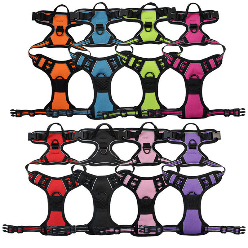 Dog Leash Heavy Duty Nylon Walking Lead with Padded Handle - Detail Angle 4 | Majestic Pet Kingdom