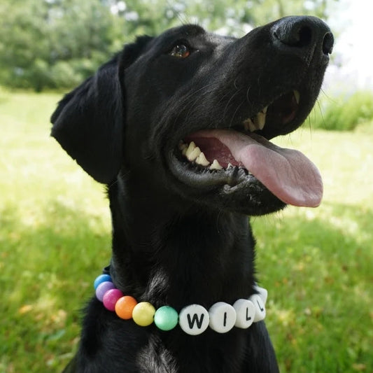 Dog Necklace Custom Beaded Name Letter Pearl Jewelry Set