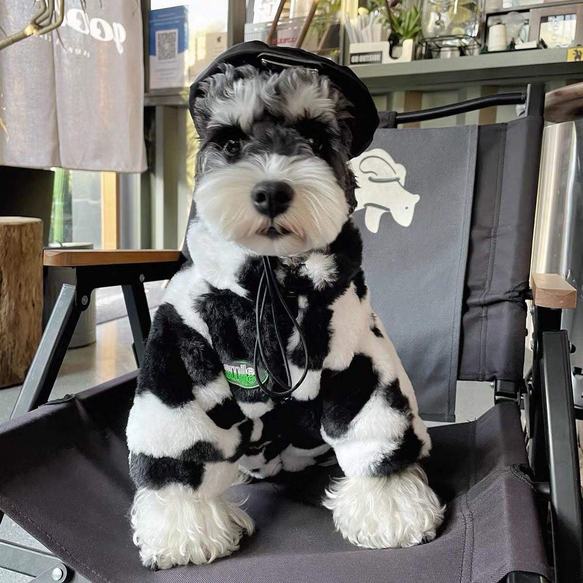 Pet Product - Premium Pet Accessory