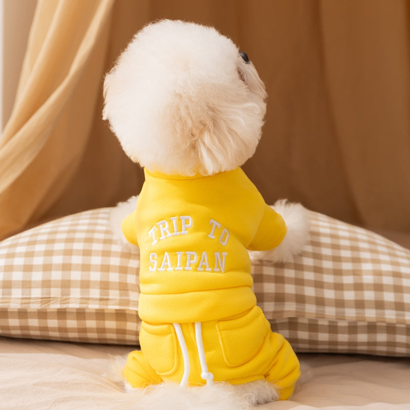Pet Product - Premium Pet Accessory