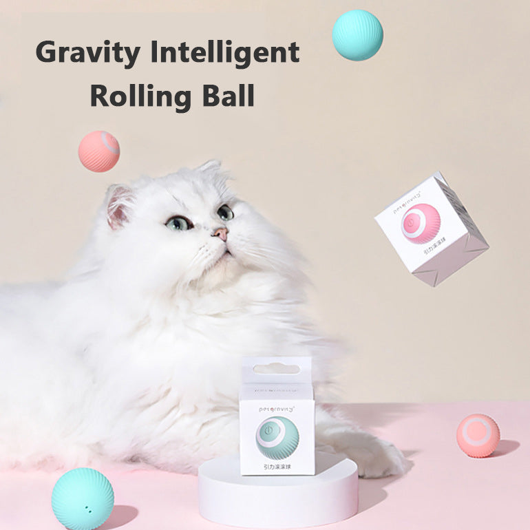 Cat Toy Smart Gravity Motion Rolling Ball USB Interactive Play - Main Feature View | Majestic Pet Kingdom