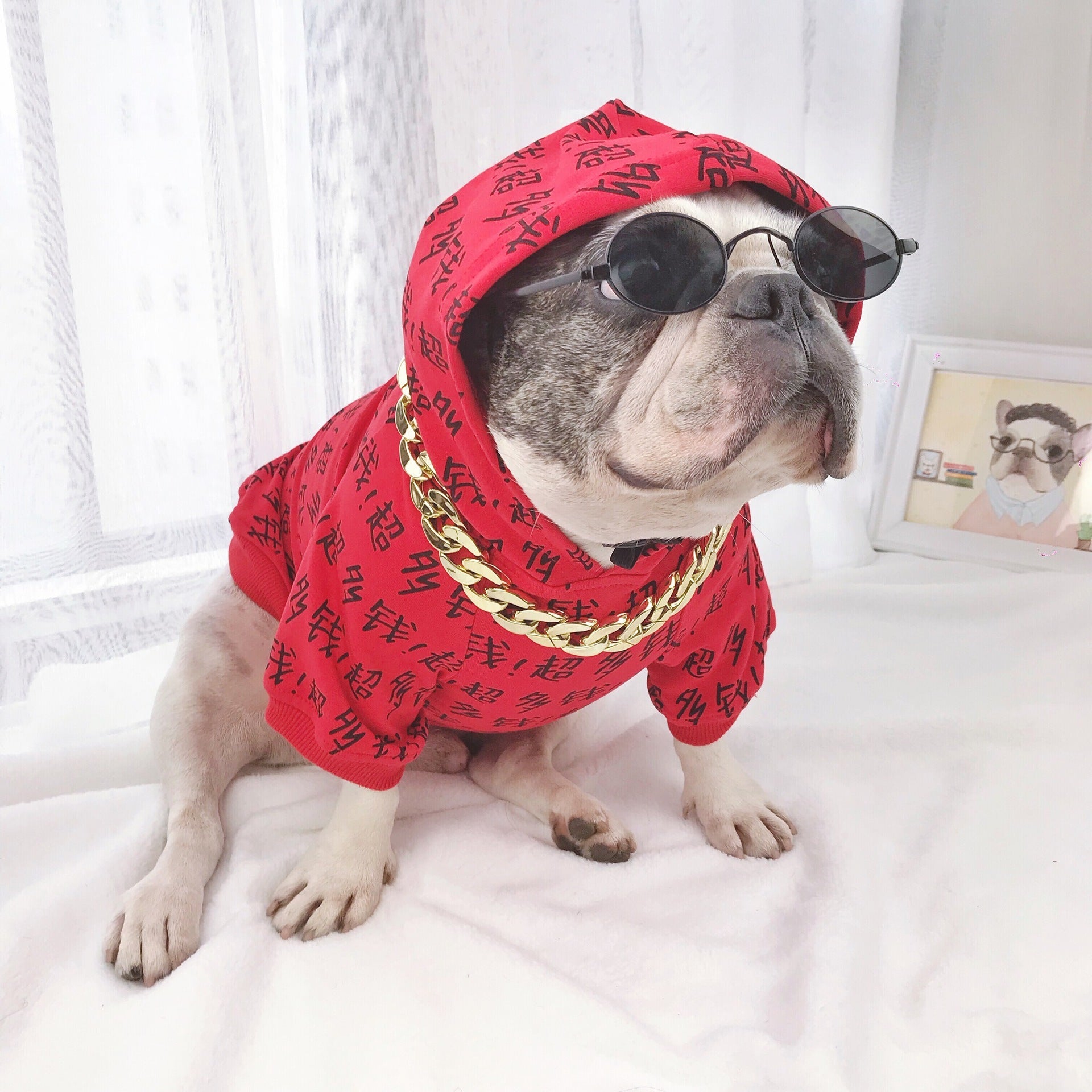 Luxury Pet Essentials - Purrfect Pet Kingdom™