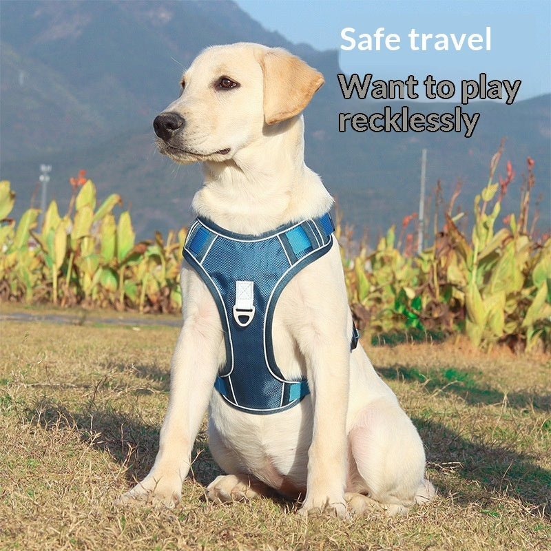 Automatic Retractable Leash And Harness - Majestic Pet Kingdom