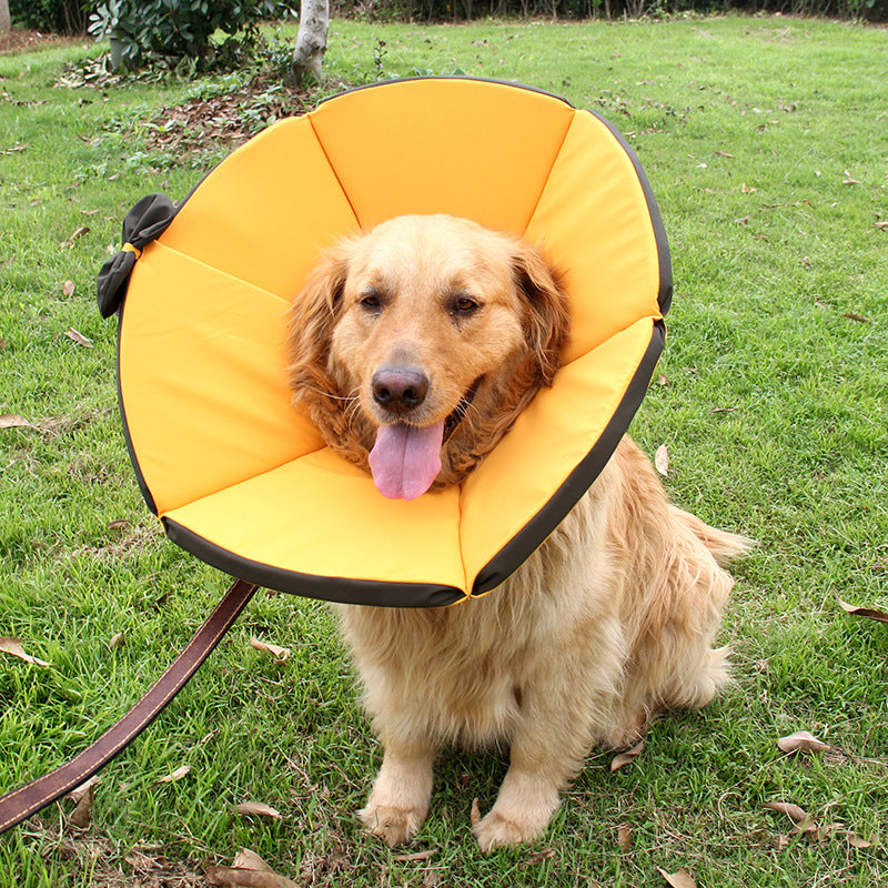 Luxury Pet Essentials - Purrfect Pet Kingdom™
