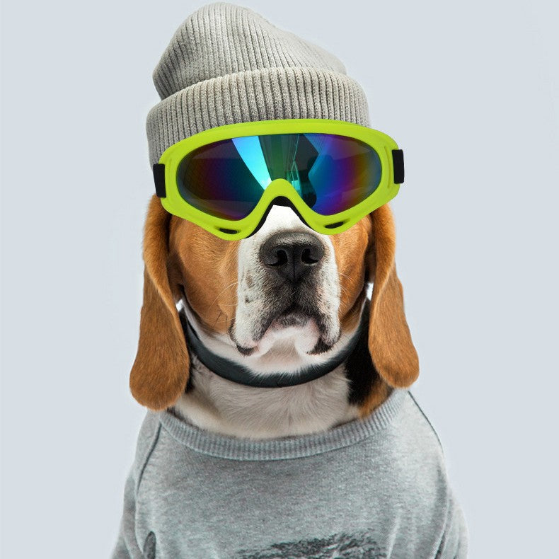 Outdoor Dog Sunglasses Decoration Fashion Matching Pet Wellness | Majestic Pet Kingdom™