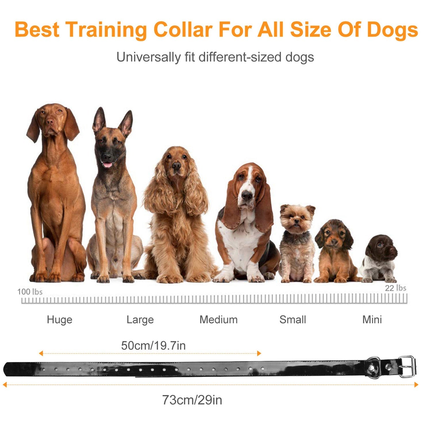 Dog Bark Collar IP67 Waterproof Rechargeable Dog Training Receiver Shock Collar Receiver with Beep Vibration Shock 9 Levels 1640ft Remote Range - Majestic Pet Kingdom