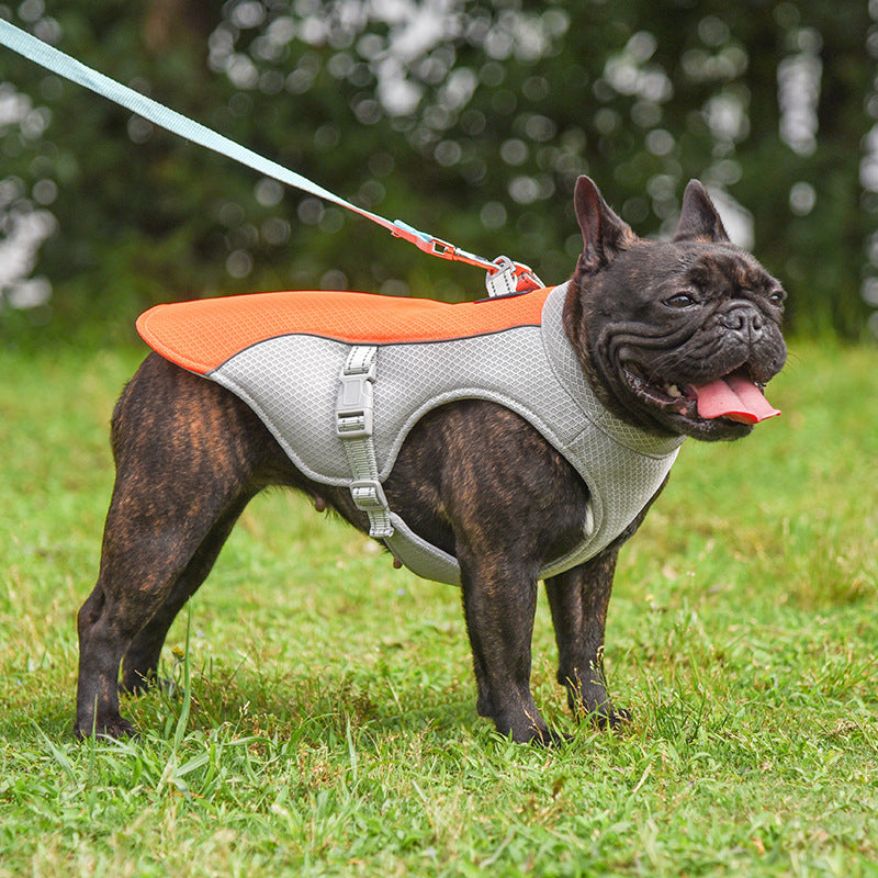 Summer Pet Outdoor Breathable Cooling Vest - Majestic Pet Kingdom