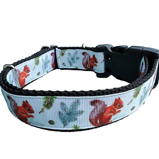 Dog Collar Forest Squirrel Woodland Wildlife Nature Print Nylon