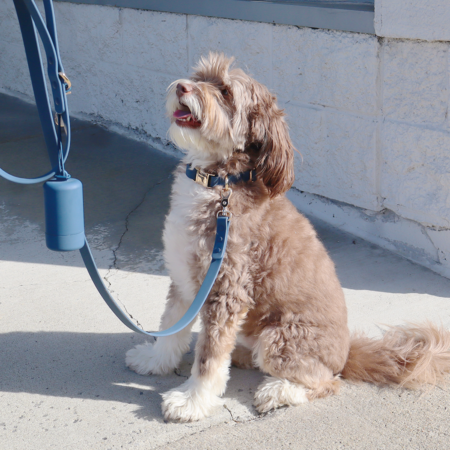 Waterproof Dog Collar | Pink