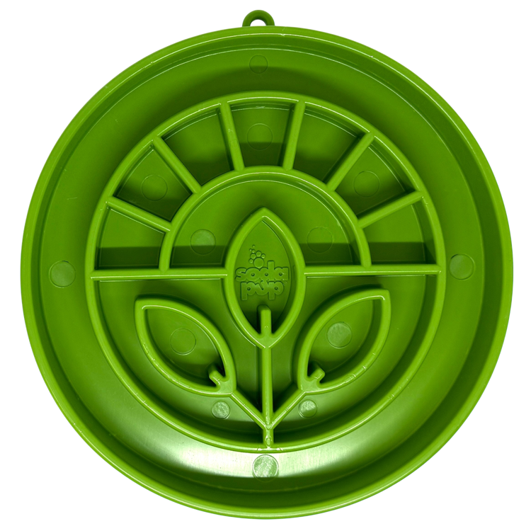 Garden Design eTray - Shallow Slow Feeder Dog Bowl for Best