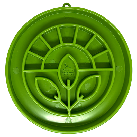 Garden Design eTray - Shallow Slow Feeder Dog Bowl for Best