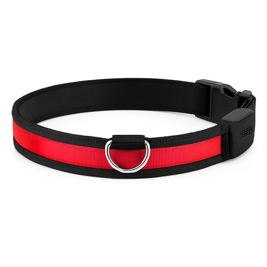 LED Dog Collar: Safety Light for Night Walks | Purrfect Pet Kingdom