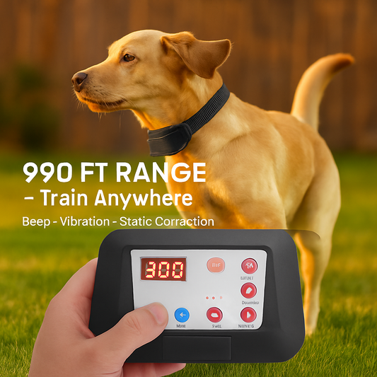Radius Dog Training Collar with Wireless Fence | Purrfect Pet Kingdom