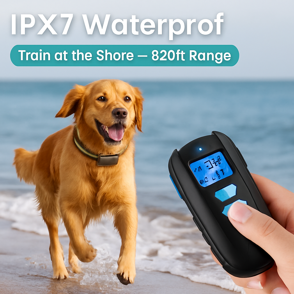 Dog Training Collar with Remote Control for Dogs