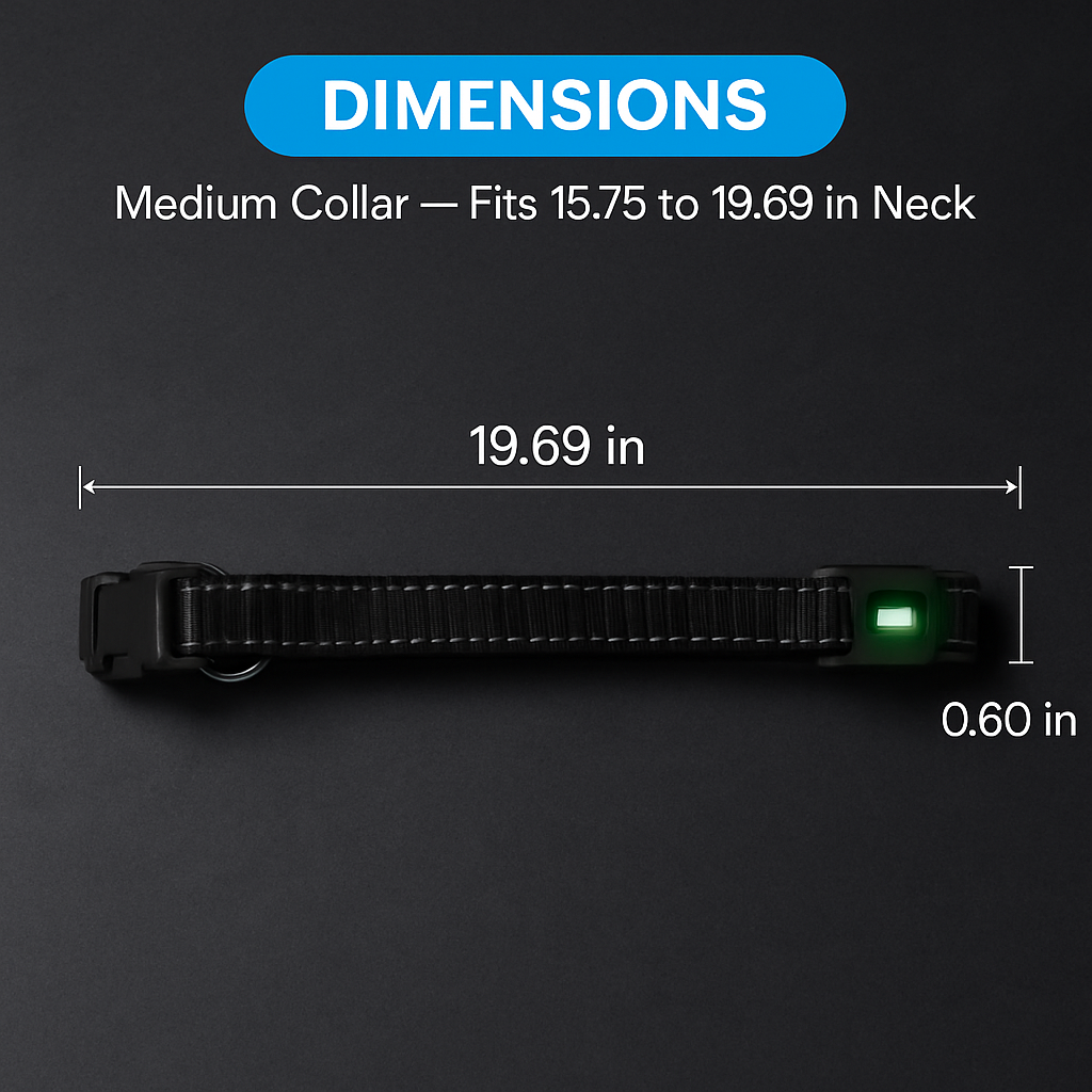 Light Up Dog Collar with LED Night Safety Colors