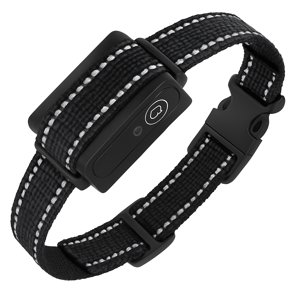 Dog Training Collar Receiver - Safe, Gentle Training Aid - Majestic Pet Kingdom