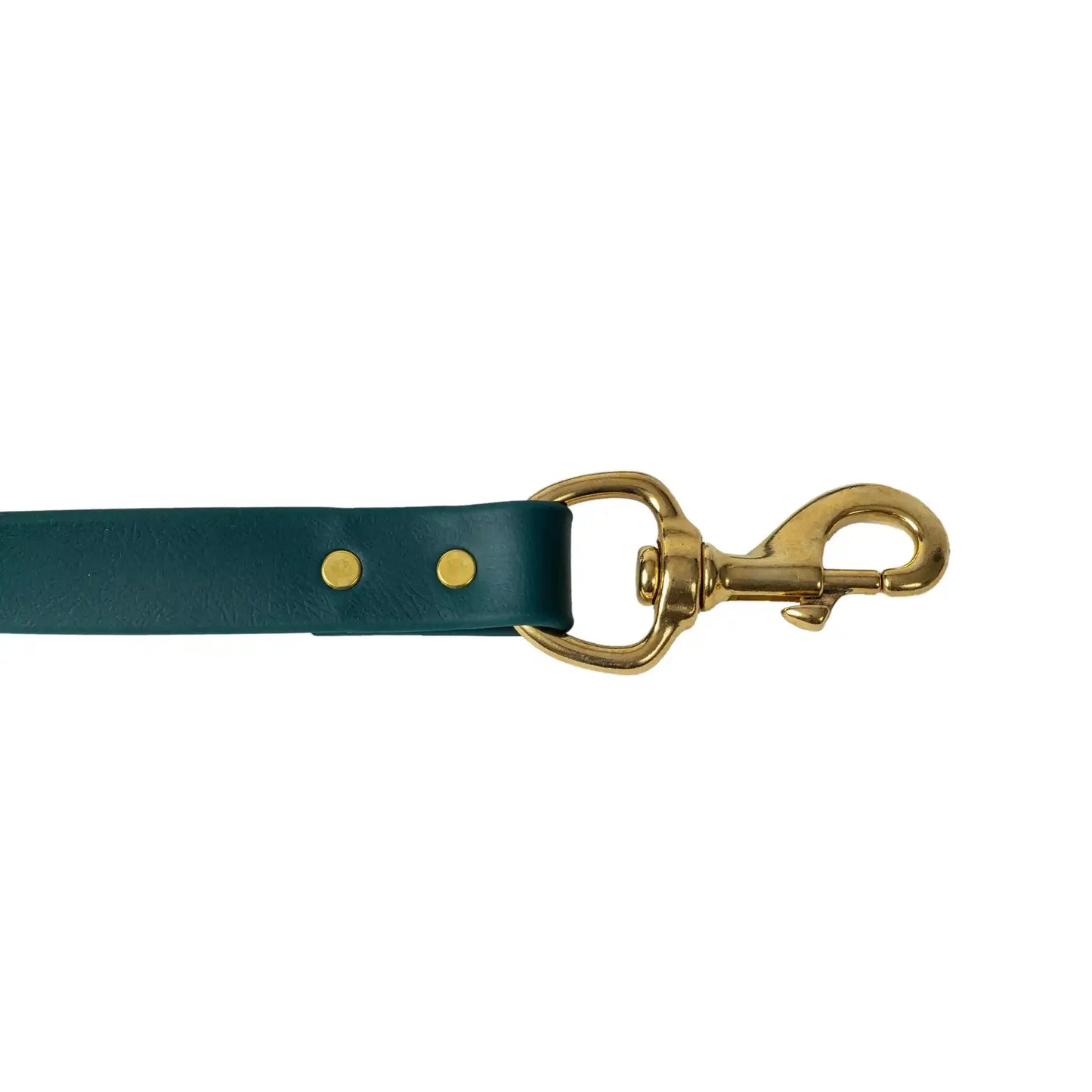 Dog Leash Waterproof Teal Heavy Duty All-Weather Walking