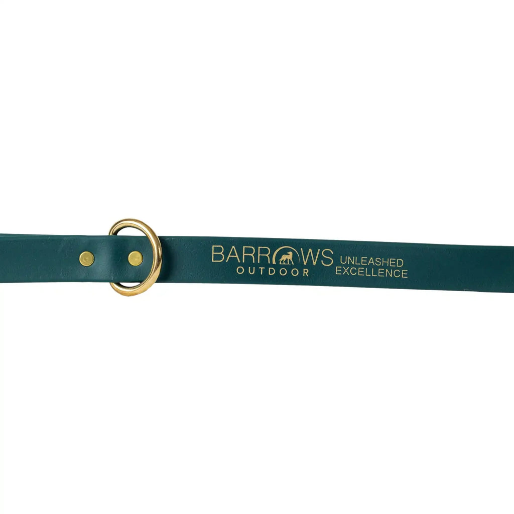 Heavy-Duty Waterproof Dog Leash - Green Pet Lead