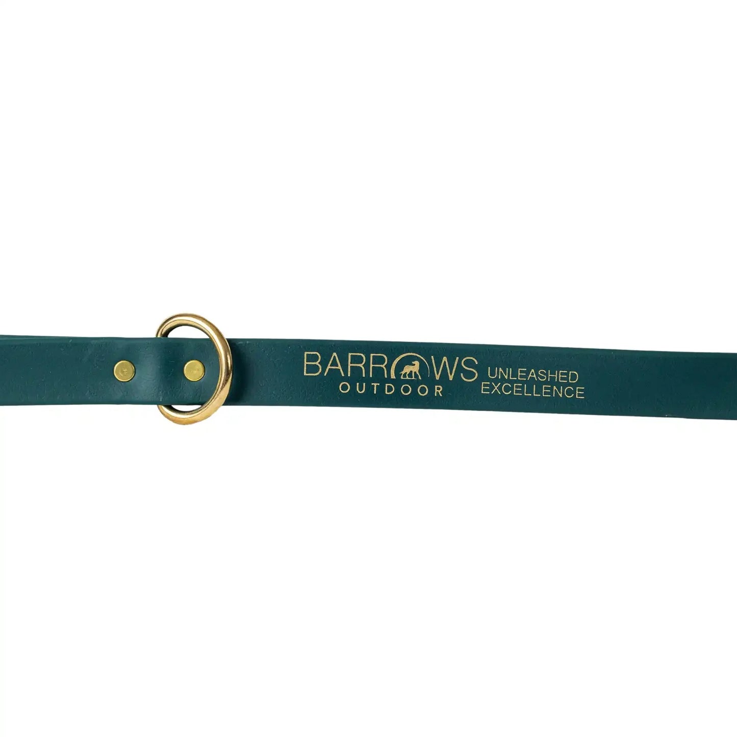 Dog Leash Waterproof Green Heavy Duty All-Weather Walking Lead - Detail Angle 2 | Majestic Pet Kingdom