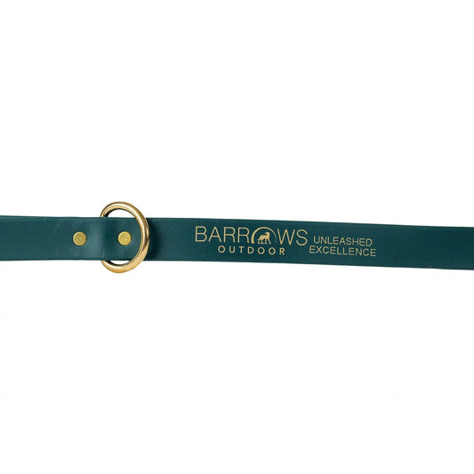 Heavy-Duty Waterproof Dog Leash - Green Pet Lead