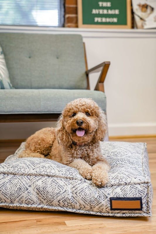 Lounger Pet Bed in Sapphire Spaniel | Purrfect Pet Kingdom