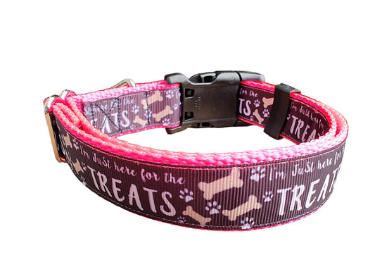 Dog Collar Here For The Treats Hot Pink Funny Novelty Nylon Strap
