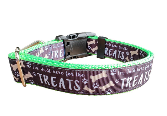 Dog Collar Here For The Treats Neon Green Funny Food Nylon Band