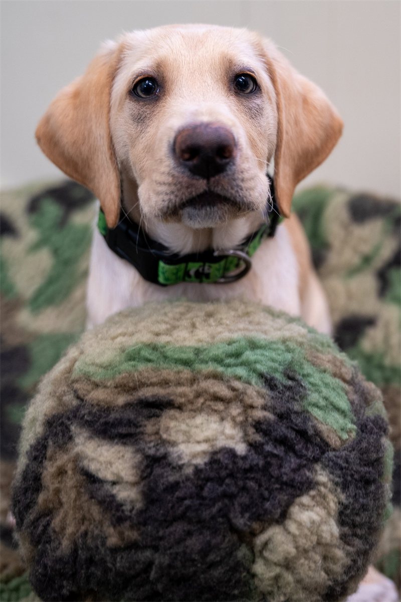 Dog Plush Toy HuggleCause Camo Canine Connection Knottie Squeak - Detail Angle 4 | Majestic Pet Kingdom