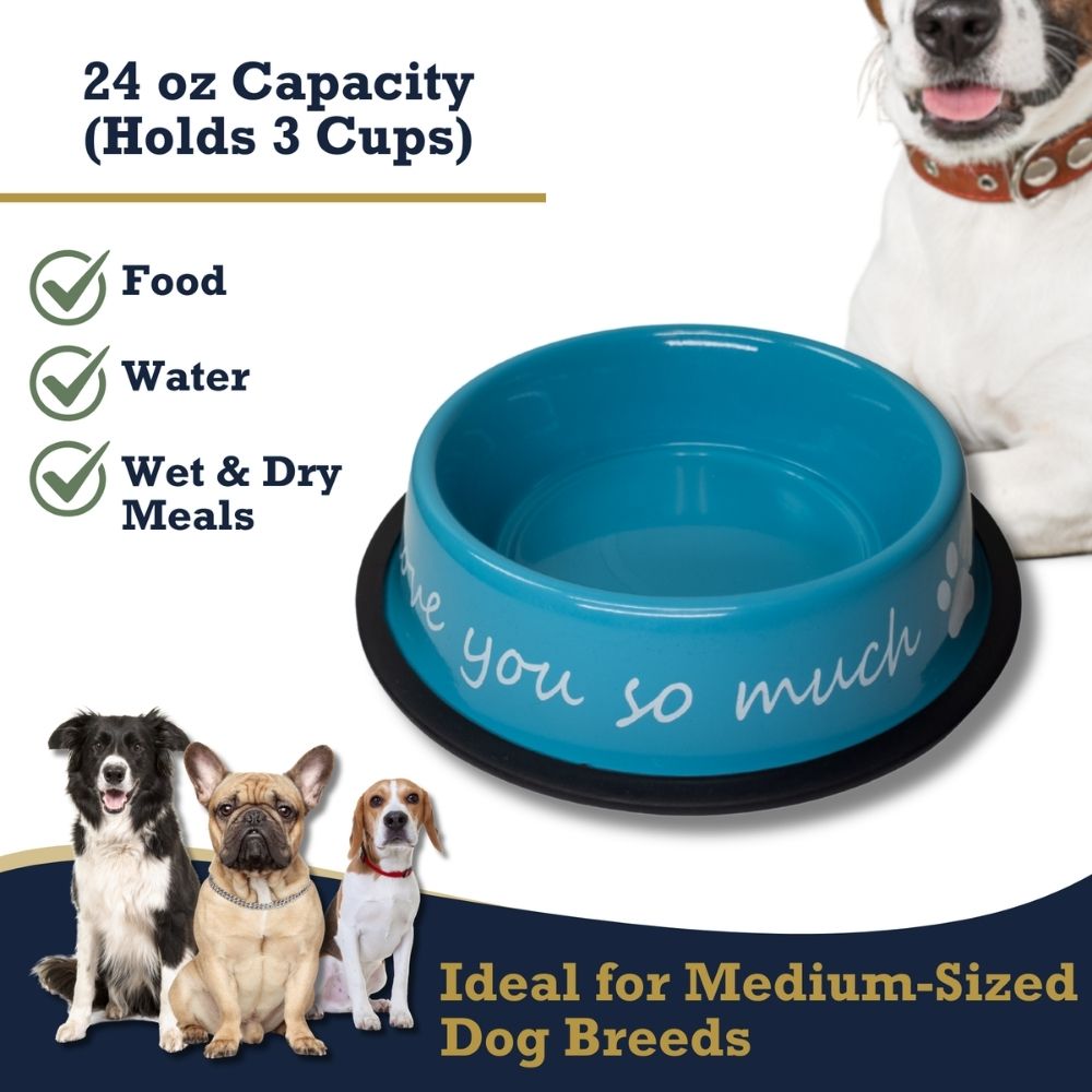 I LOVE YOU SO MUCH Stainless Steel Dog Bowl (24 Ounce) - Majestic Pet Kingdom