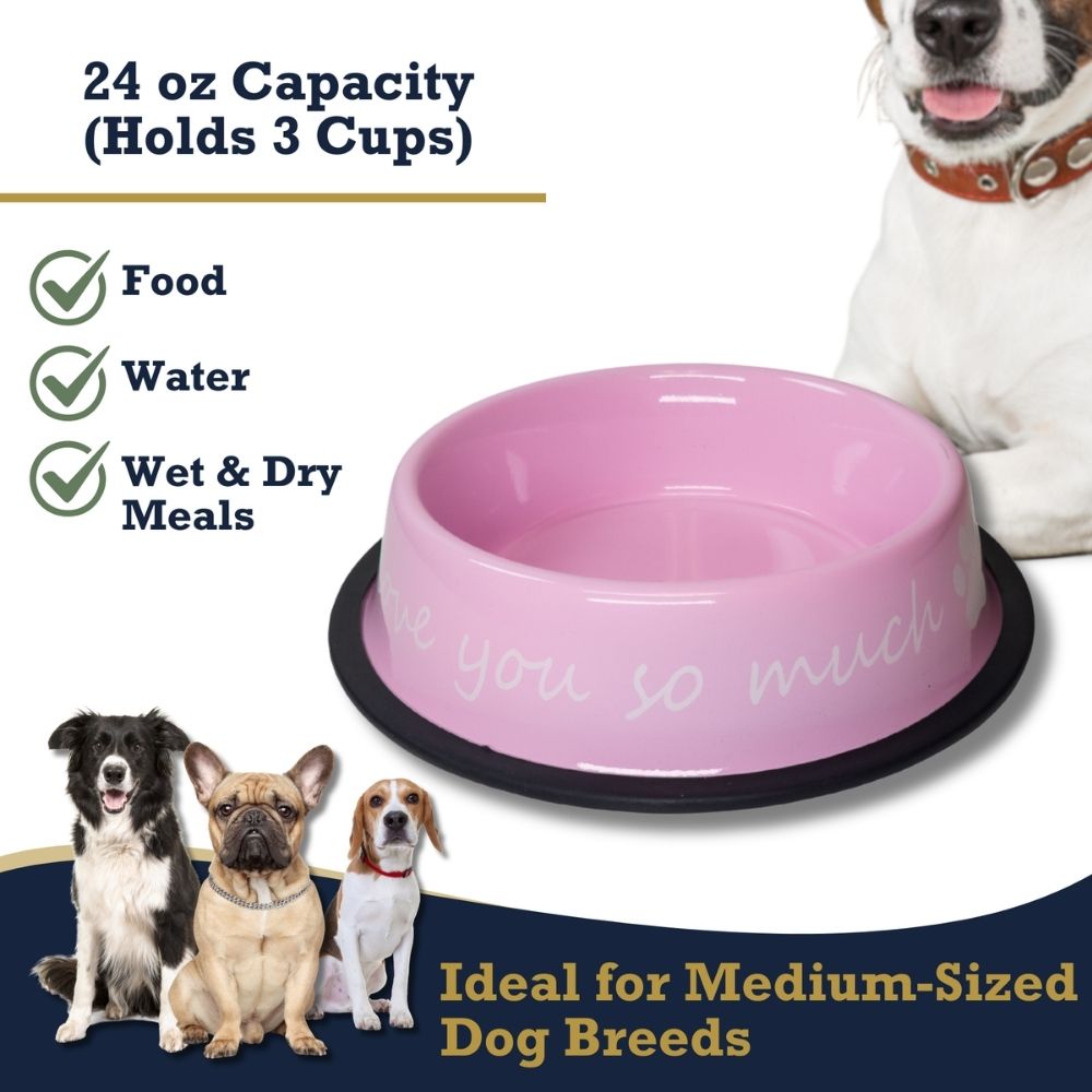 I LOVE YOU SO MUCH Stainless Steel Dog Bowl (24 Ounce) - Majestic Pet Kingdom