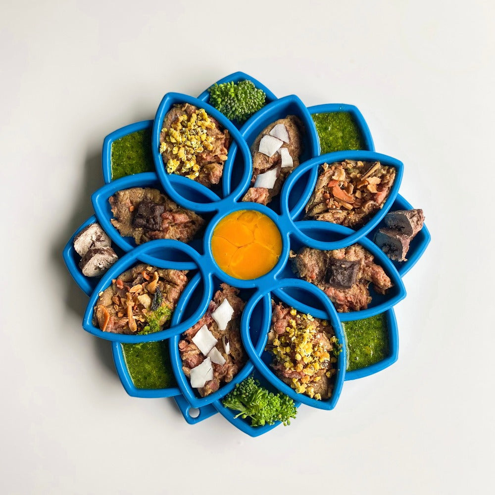 Mandala eTray Shallow Slow Feeder Dog Bowl for Enrichment | - Majestic Pet Kingdom