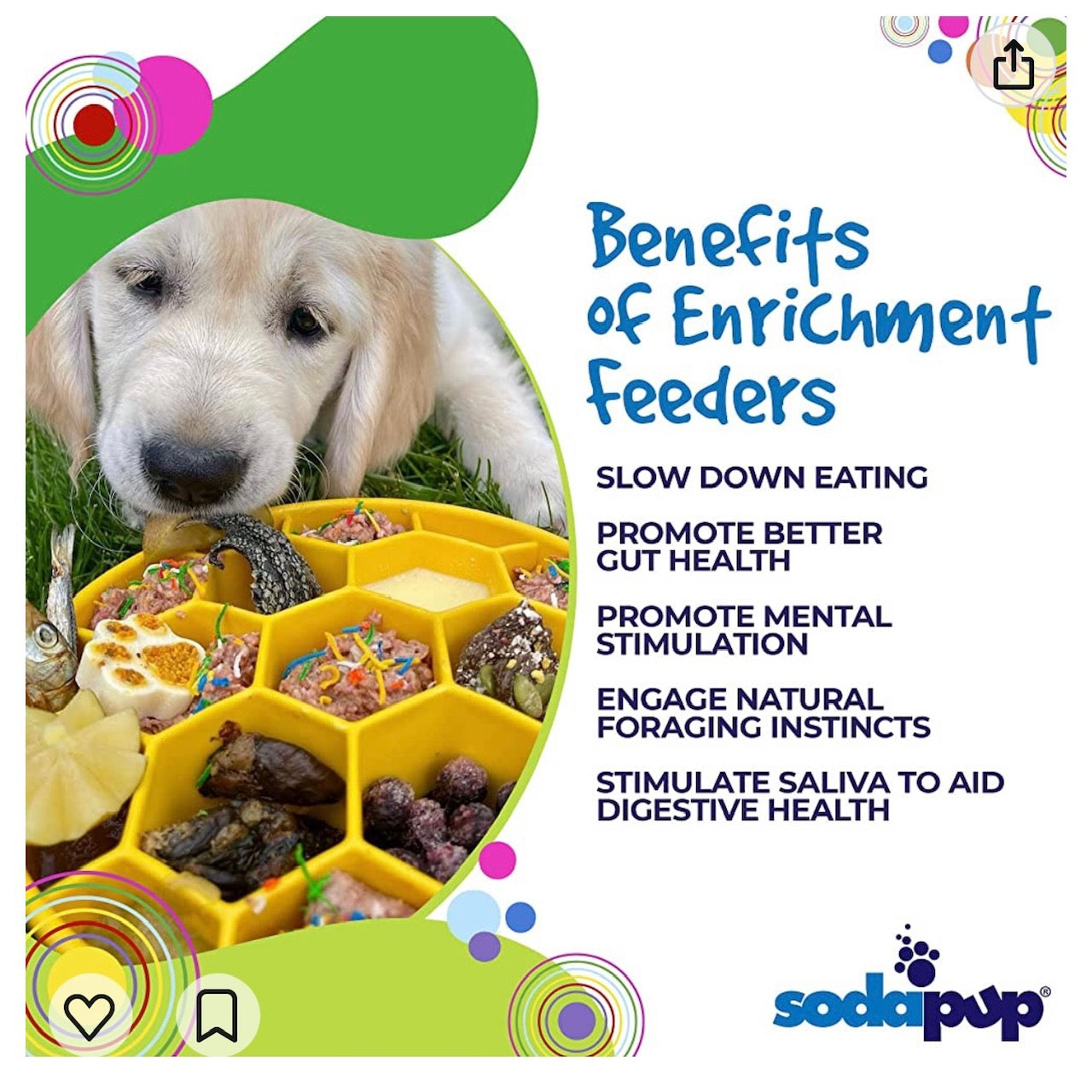 Pet Supply Product | The Finest Market