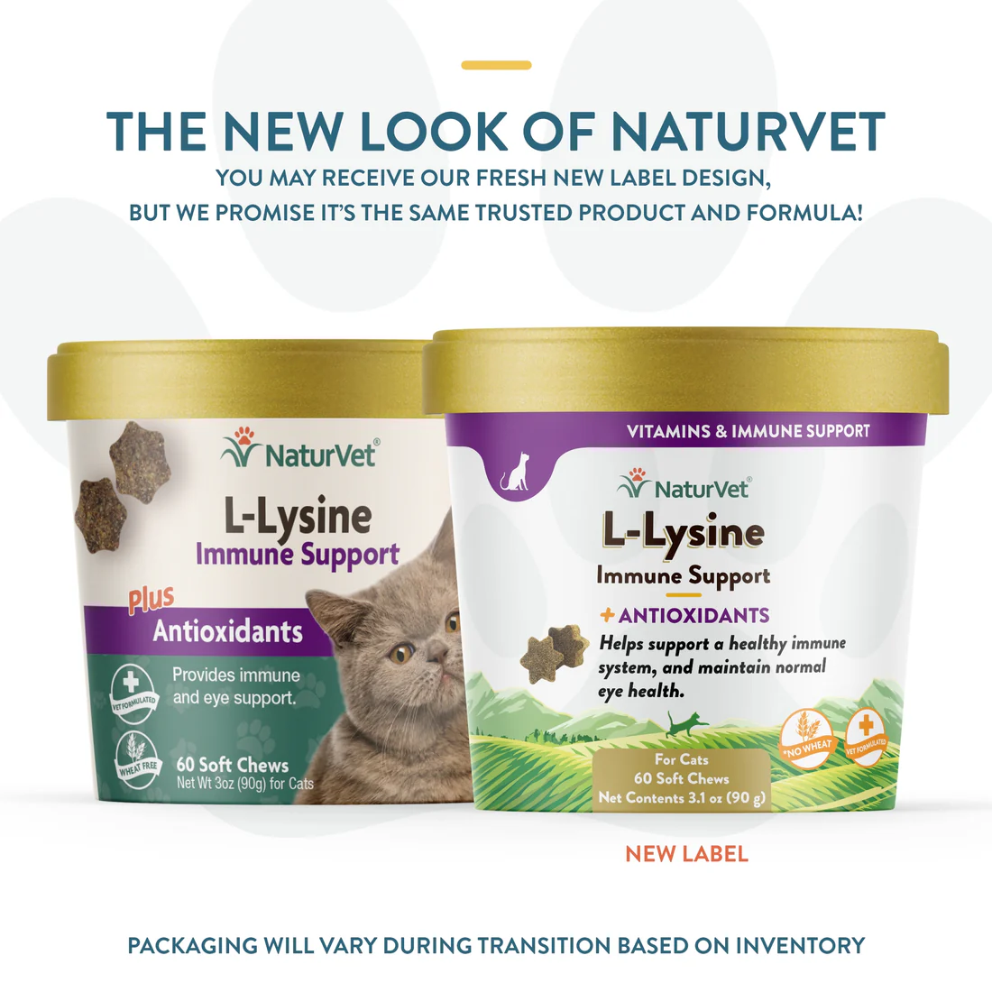 Cat L-Lysine NaturVet Immune Health Soft Chews 60-Count Pouc
