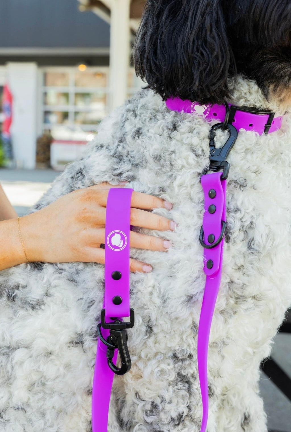 Electric Fuchsia Adjustable Dog Leash – All-Weather 54"