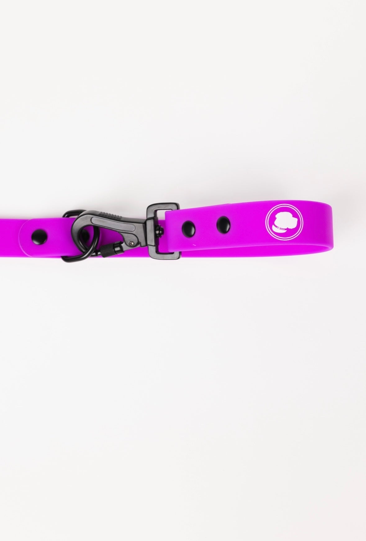 Electric Fuchsia Adjustable Dog Leash – All-Weather 54"