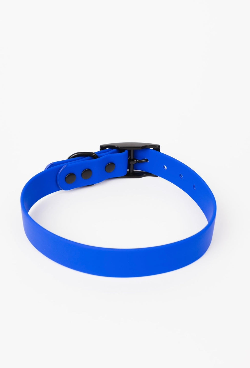 Royal Blue Collar (Weather + Odor Resistant)