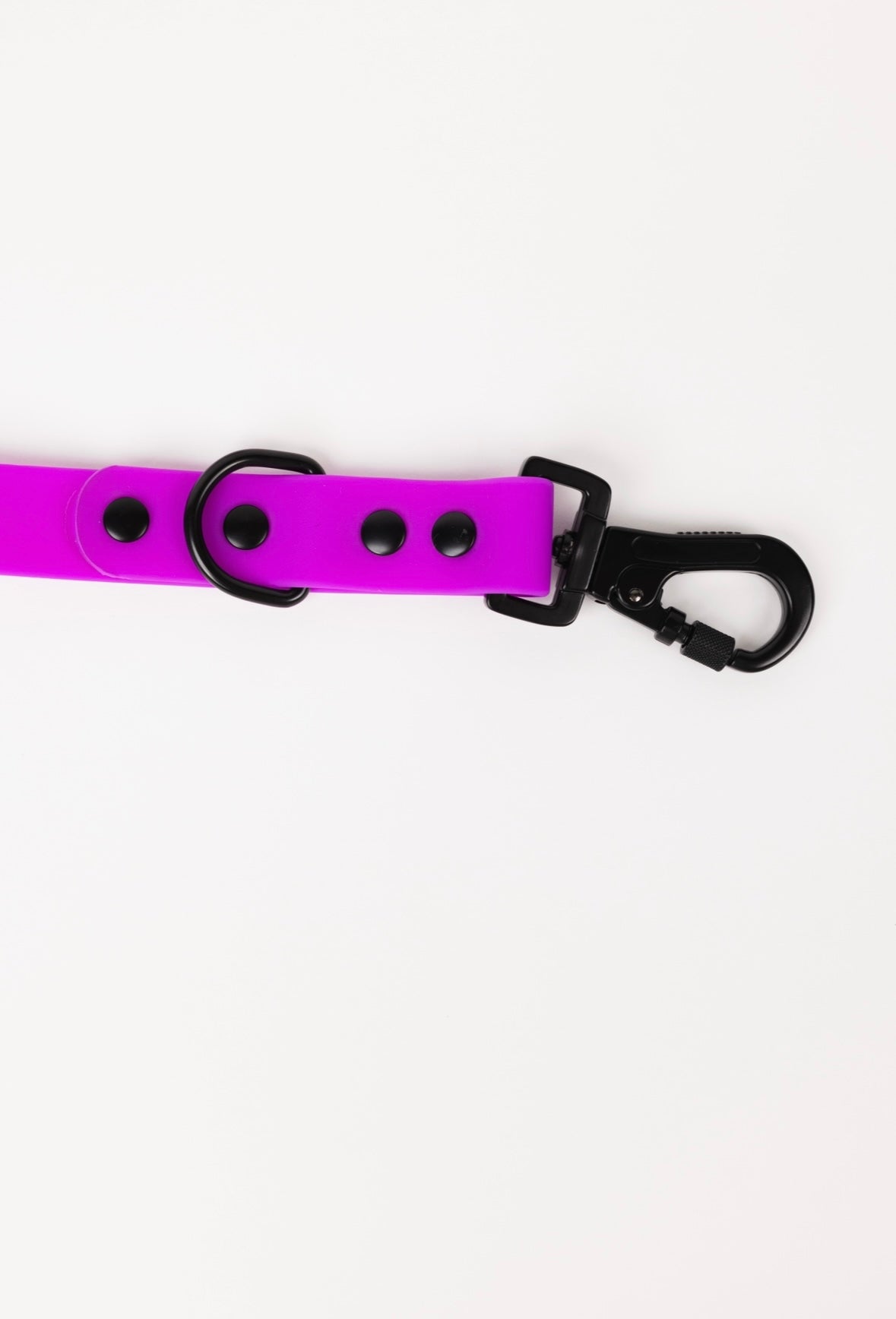 Electric Fuchsia Adjustable Dog Leash – All-Weather 54"