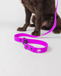 Electric Fuchsia Adjustable Dog Leash – All-Weather 54"