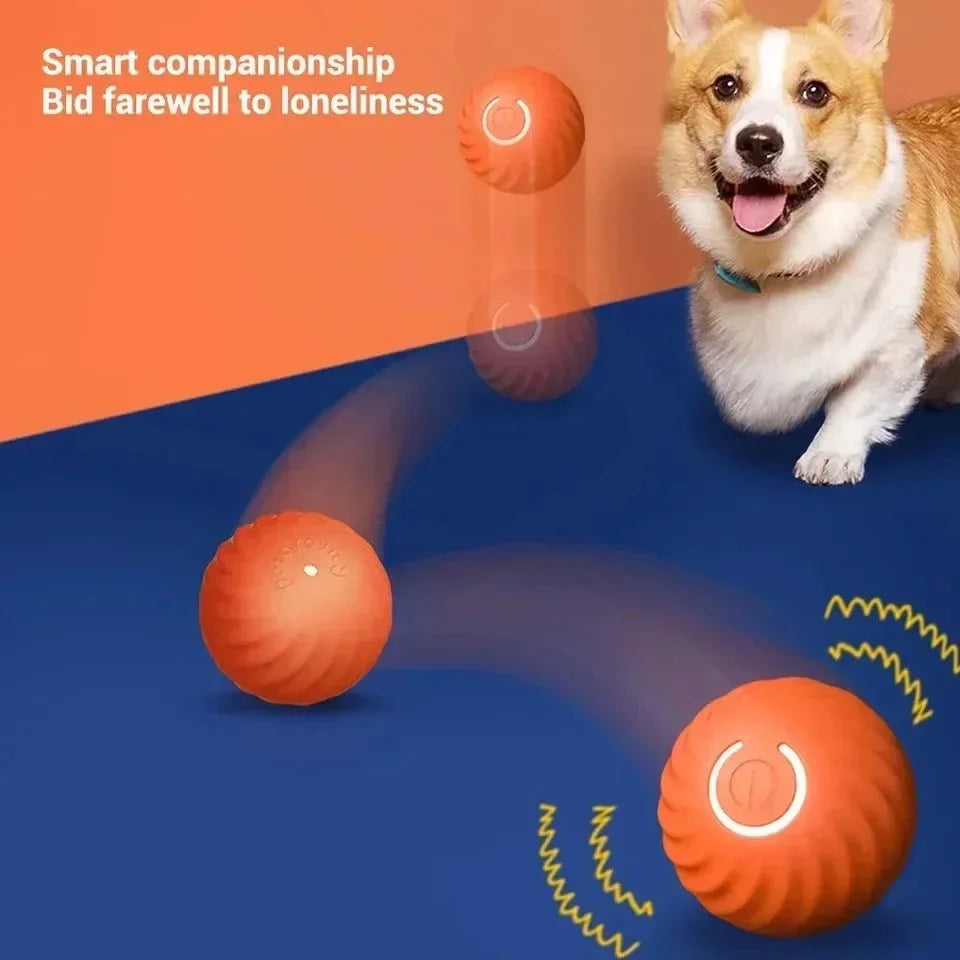 Luxury Pet Essentials - Purrfect Pet Kingdom™