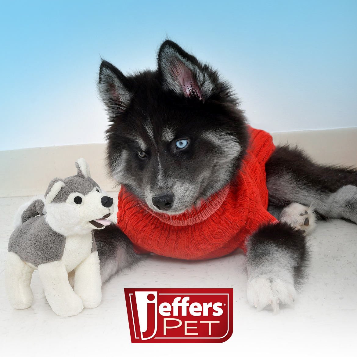 Luxury Pet Essentials - Purrfect Pet Kingdom™